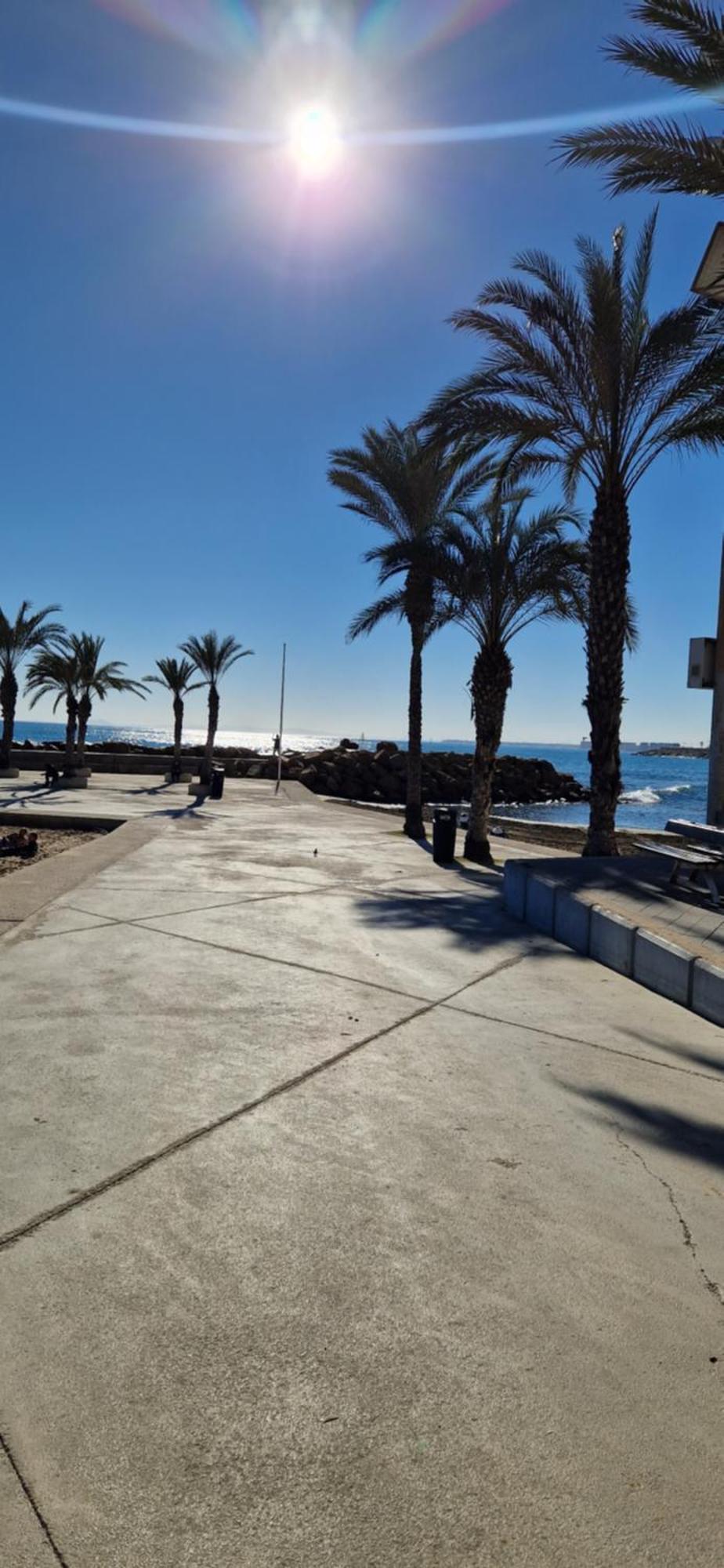 Apartments On The Beach In Torrevieja Eksteriør billede